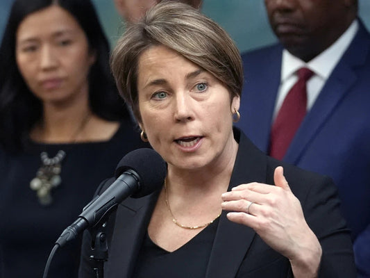 New panel charged with helping Massachusetts meet its renewable energy goals