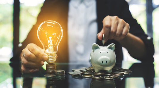 Can lithium iron phosphate batteries save you money over time?