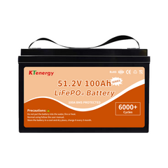 Deep Cycle lithium ion batteries 51.2V 50Ah 100Ah